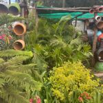 WhatsApp Image 2025-02-06 at 15.01.49