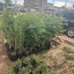 WhatsApp Image 2025-02-06 at 15.03.30 (11)