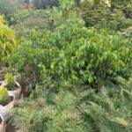 WhatsApp Image 2025-02-06 at 15.03.30 (15)