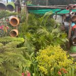 WhatsApp Image 2025-02-06 at 15.03.30