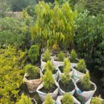 WhatsApp Image 2025-02-06 at 15.03.30 (16)