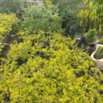 WhatsApp Image 2025-02-06 at 15.03.30 (17)