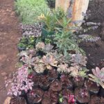 WhatsApp Image 2025-02-06 at 15.03.30 (2)