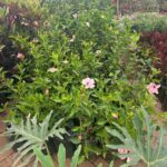 WhatsApp Image 2025-02-06 at 15.03.30 (26)