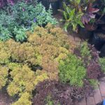 WhatsApp Image 2025-02-06 at 15.03.30 (28)