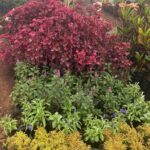 WhatsApp Image 2025-02-06 at 15.03.30 (29)