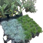 WhatsApp Image 2025-02-06 at 15.03.30 (3)