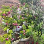 WhatsApp Image 2025-02-06 at 15.03.30 (30)