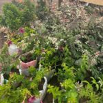 WhatsApp Image 2025-02-06 at 15.03.30 (31)