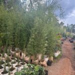 WhatsApp Image 2025-02-06 at 15.03.30 (4)