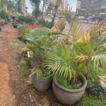 WhatsApp Image 2025-02-06 at 15.03.30 (5)