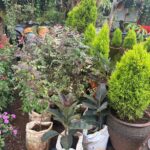 WhatsApp Image 2025-02-06 at 15.03.30 (6)